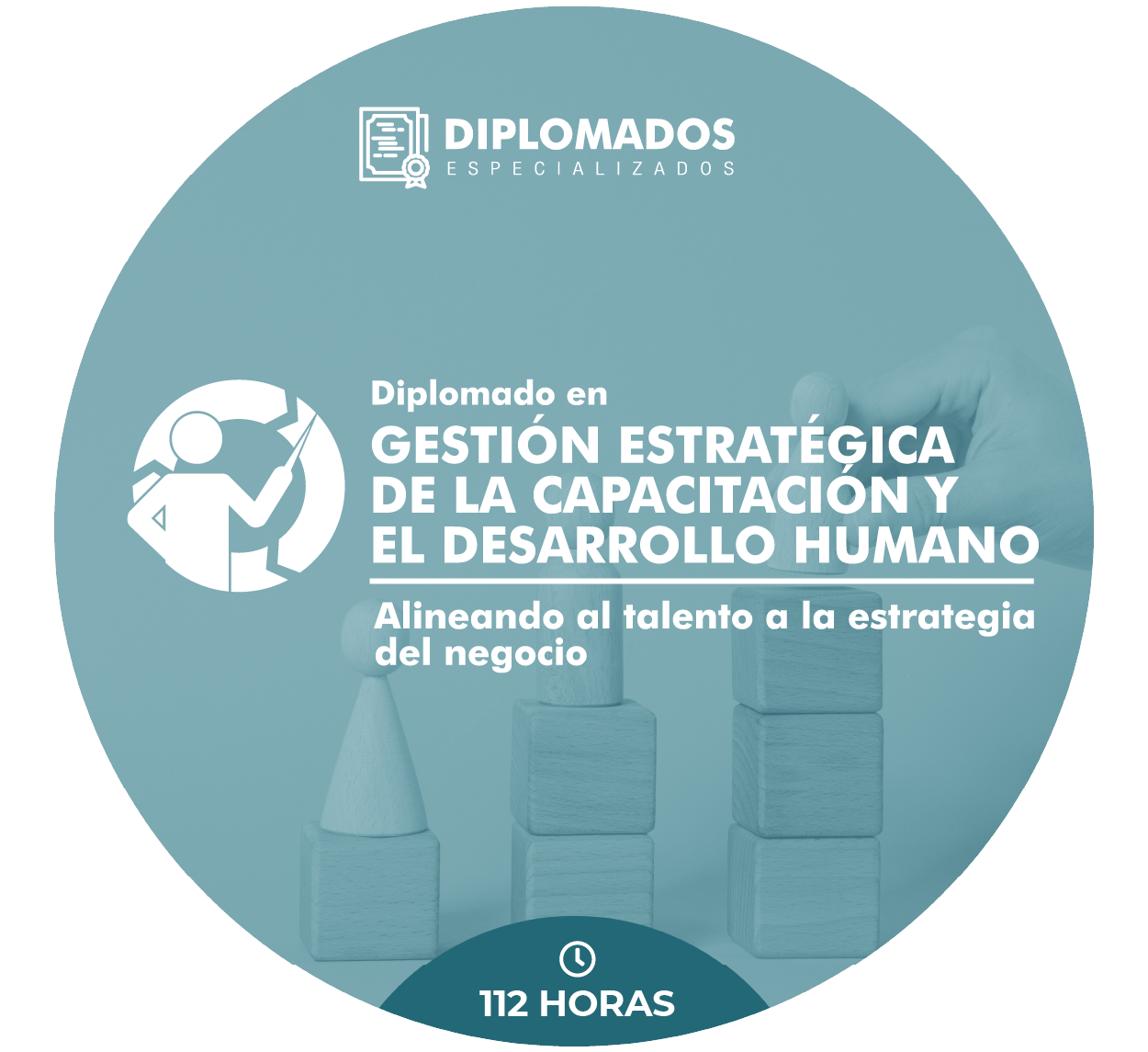 1785523730-Imagenes_Diplomado 02.png